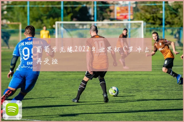 葡萄牙无缘2022年世界杯 C罗冲击再受挫