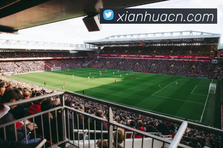 九游j9官方登录品牌故事