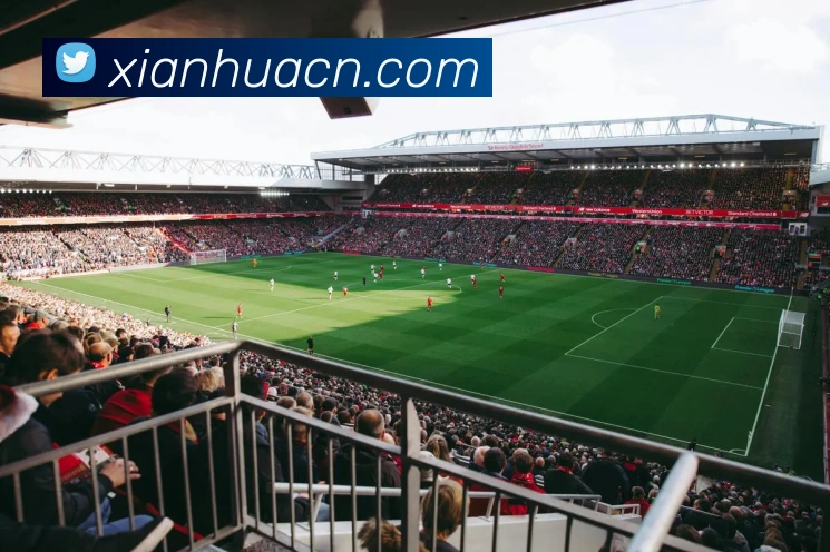 九游j9官方登录服务体系